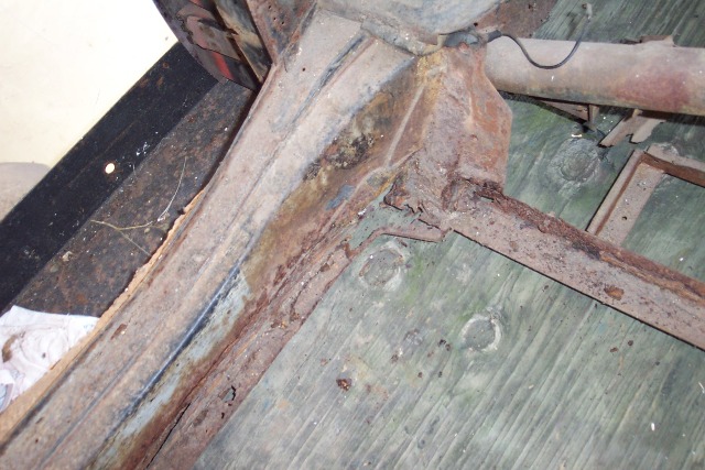 Beginnings - Photo 11